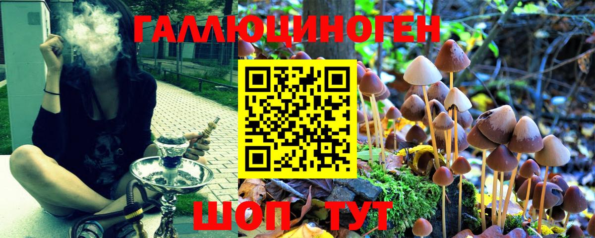 Псилоцибиновые грибы ЛСД Долгопрудный