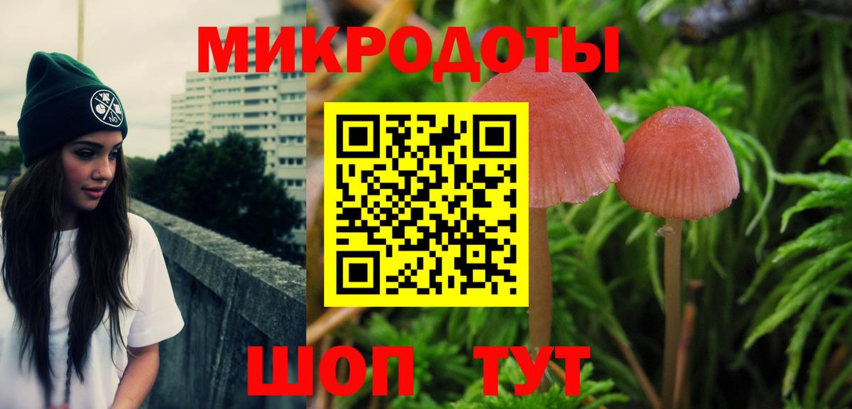 Галлюциногенные грибы Cubensis  Вход с VPN  Долгопрудный  Псилоцибиновые грибы мицелий 